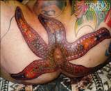 A tatuagem de estrela do mar Anal | BME: Tatuagem, Piercing e modificaÃ§Ã£o do corpo...