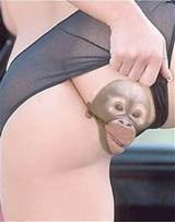 Tatuagem de macaco buceta