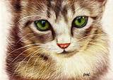 Pussy gato pelo shonechacko no DeviantArt