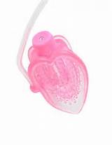 de vibraÃ§Ã£o mini buceta produto de bomba-de-rosa pd323311 clitÃ³ris vibradores em casa...