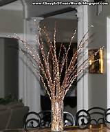 Crescendo, salgueiros e encaracolados salgueiros | Jardinagem | Pinterest