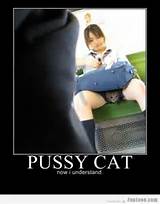 Pussy gato agora eu entendo