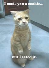 Make A Wish: Funneh Kittehs