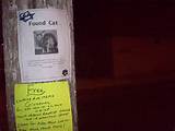 inserir piada de gato do bichano aqui | 