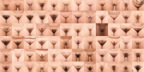 Projeto Bush: Como uma coleÃ§Ã£o de fotografia de arbustos feminino na...