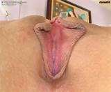porn613 - Galeria de imagens adulto - molhada e inchada 1