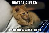 Gatinho-por cuteasfuck - Meme centro