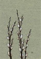 Pussy willow. idÃ©ia do tatuagem | tatuagens | Pinterest