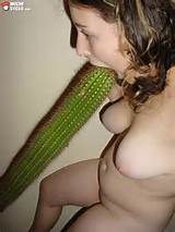Cacto - MUCHOSUCKO.com