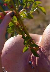 Cacto buceta - sexo porno imagens