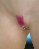 Tingido Pubes/2022975306.jpg na Galeria tingido pentelhos coloridos pÃºbicos...