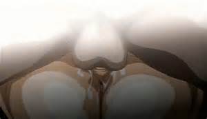 animaÃ§Ã£o Ã¢nus cu bolas balls_deep cum cum_inside cumdrip profunda...
