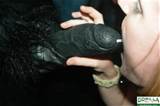 Garotas de festa safada mostram suas tetas, bichanos e recebem louco...