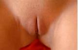 Nada mas bichano - TotallyNSFW.com