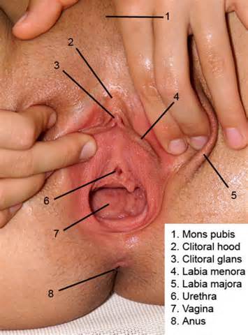 vagina de recorde mundial e inserÃ§Ãµes anais