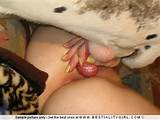 Dogue alemÃ£o fode boceta grande - sexo porno imagens