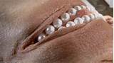 pÃ©rolas na vagina | Gifs porno & Gifs de sexo