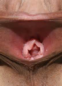 no estranhas pornÃ´ fotos sua mais estranho mais escuro mais extremo sexual...