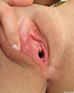 Buceta rosa