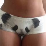 Urso panda buceta imprimir - Her Pussy Phat