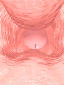 censurado buceta pÃªnis sex gif vaginal penetraÃ§Ã£o molhada 3d close-up...