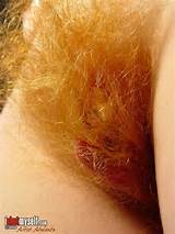 Cabelo de pequena putinha vermelho TLRCH uma rata de fogo, arbusto vermelho, fechar, buceta...