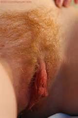 ... hairy_labia_meaty + pussy_natural_onlyhairypussy_pussy + shot_redhead_7