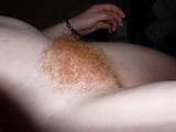 Ginger Bush: Ruivas com 4 de bichanos peludos - gbrhwhp4/1268938191.jpeg