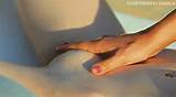 Agarrando seu bichano apertado redondo - Porn Gif vÃ­deo Tube sexo