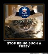 PARE de SER TÃƒO COVARDE... - gatos para Obama Meme gerador Posterizer