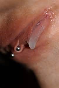 Sexy xoxota clit piercing 500 X 745 Jpeg image