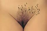 Papel de parede meninas, buceta, cona, vagina, pÃ¡ssaros, Ã¡rvore, arbusto, floresta, nu...