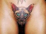 Gatinho tatuagem tatuagem, xoxota depilada suave, fechar imagem carregou...
