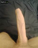 Dick Pics dos galos, cujo apelido deve ser Mr.Pussy
