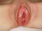 Bichano bombeado