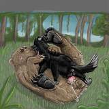 1boy 1girl Ã¢nus bear black_claws black_fur black_pawpads brown_eyes...
