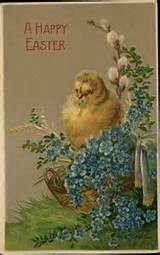 Pussywillows | PÃ¡scoa Chick Pussy Willows flores azuis em relevo...