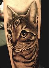 Imagens de tatuagens de gato