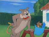 Tom e Jerry: Diminutos Amigos [Tom e Jerry: Pint tamanho Pals] [2DISC...