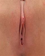 Mostrados no: http://www.localfuckbuddy.org/bristolfuckbuddy.html
