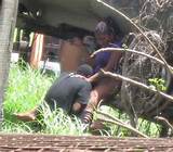Clique na imagem para ampliar