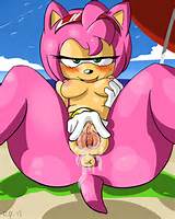 Amy rose buceta 4 amy rose Ã¢nus corar de praia seios epicchase clitÃ³ris...