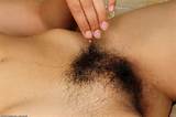 Peludo Ã¡rabe