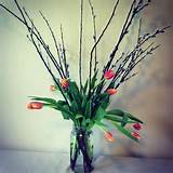 Salgueiro e arranjo tulipa na vindima mason jar...