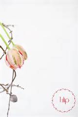 Lindo arranjo floral usando tulipas, rosas e salgueiro