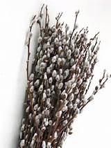 Ramos de salgueiro para centros de mesa Primavera