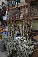 vermelho-broto-buceta-willow.jpg | contÃªiner | Pinterest