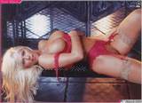 ... :// a www.mrpickem.com/women/divas/Playboy_Torrie_Wilson%20 (1).. jpg [/ img