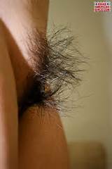 Selvagem peludo Asian American Pussy Close Up de iAdoreAsians.com