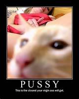 Que Phoolish.com: Pussy - Poster motivacional